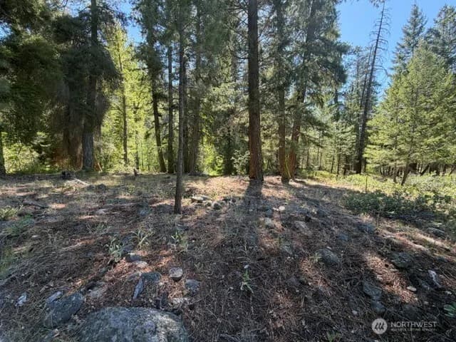 Property photo for 0 E Buttermilk Creek Road, Twisp photo 17
