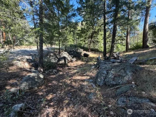 Property photo for 0 E Buttermilk Creek Road, Twisp photo 10