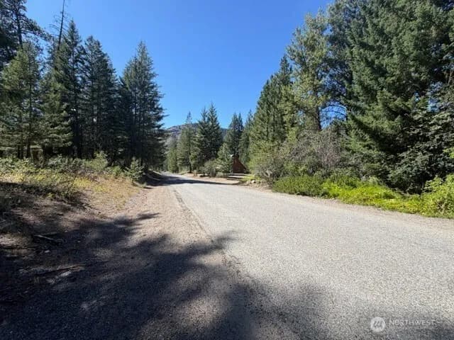 Property photo for 0 E Buttermilk Creek Road, Twisp photo 7