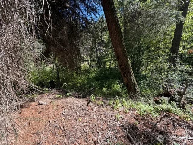 Property photo for 0 E Buttermilk Creek Road, Twisp photo 12