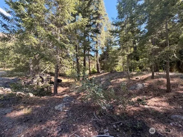 Property photo for 0 E Buttermilk Creek Road, Twisp photo 19