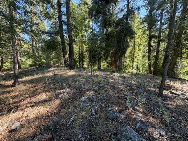 Property photo for 0 E Buttermilk Creek Road, Twisp