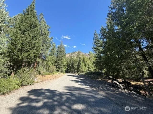 Property photo for 0 E Buttermilk Creek Road, Twisp photo 6