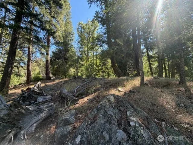 Property photo for 0 E Buttermilk Creek Road, Twisp photo 8