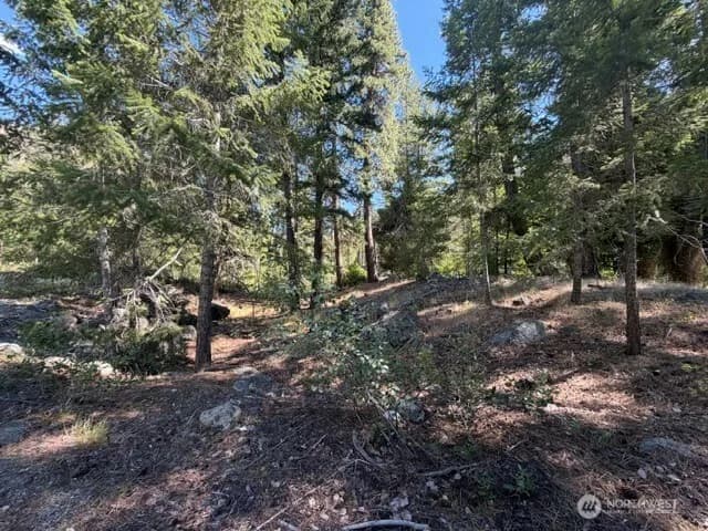 Property photo for 0 E Buttermilk Creek Road, Twisp photo 18