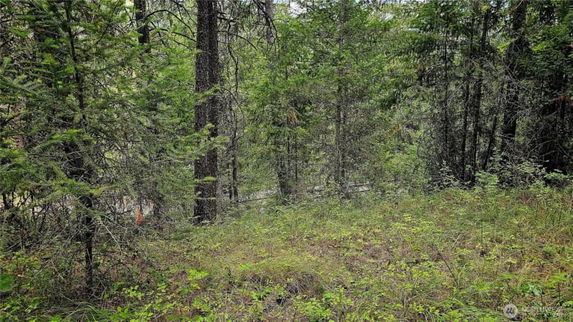 Property photo for 10 Humes Road, Kettle Falls photo 12