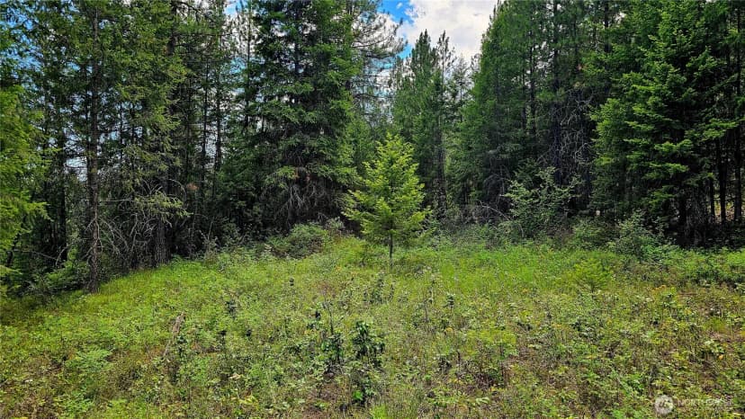 Property photo for 10 Humes Road, Kettle Falls photo 7