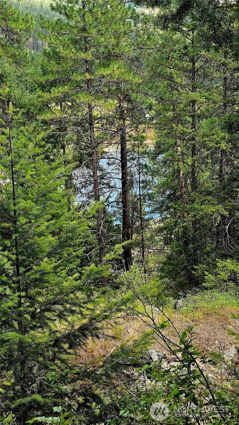 Property photo for 10 Humes Road, Kettle Falls photo 6