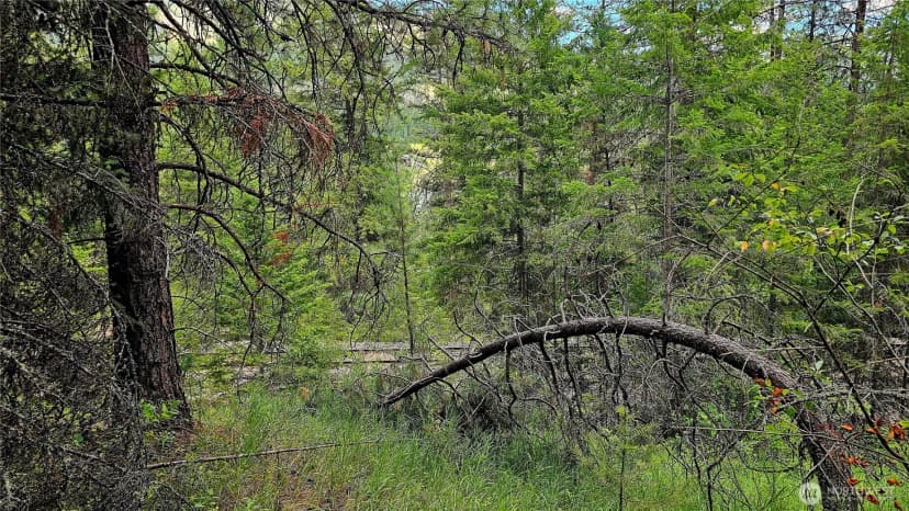 Property photo for 10 Humes Road, Kettle Falls photo 14