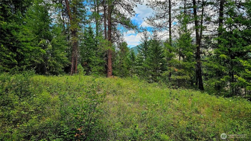 Property photo for 10 Humes Road, Kettle Falls photo 9