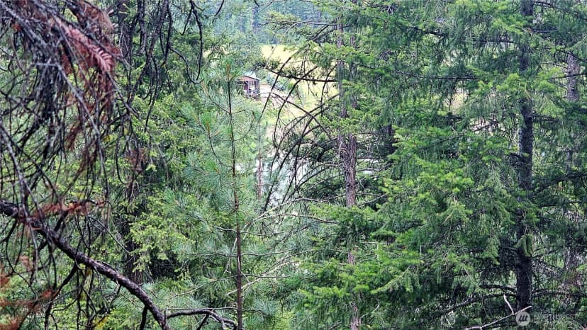 Property photo for 10 Humes Road, Kettle Falls photo 15
