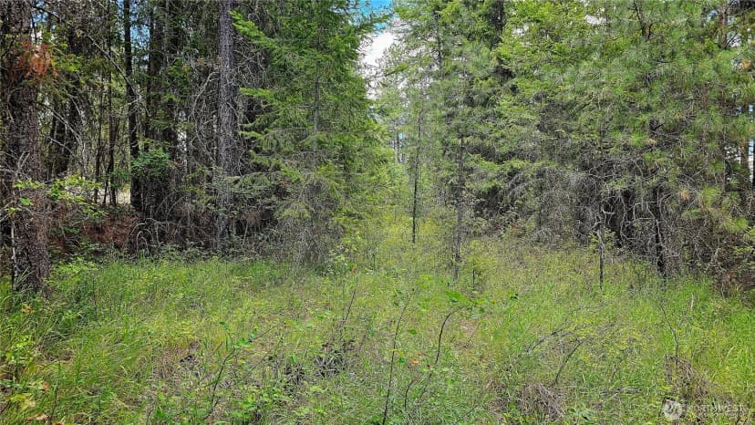 Property photo for 10 Humes Road, Kettle Falls photo 16