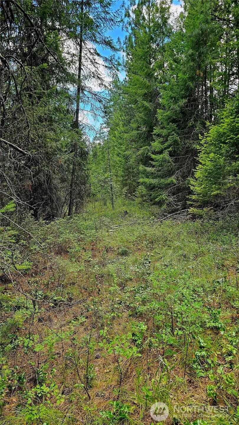Property photo for 10 Humes Road, Kettle Falls photo 10