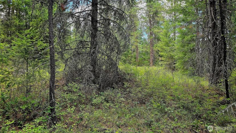 Property photo for 10 Humes Road, Kettle Falls photo 13