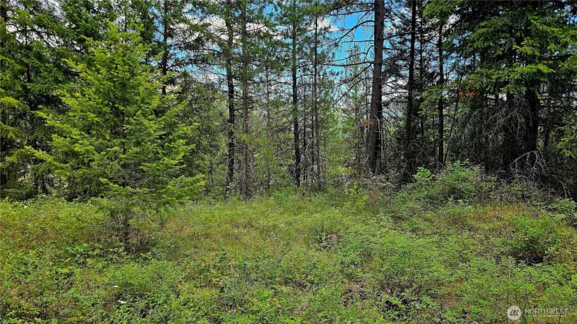 Property photo for 10 Humes Road, Kettle Falls photo 8