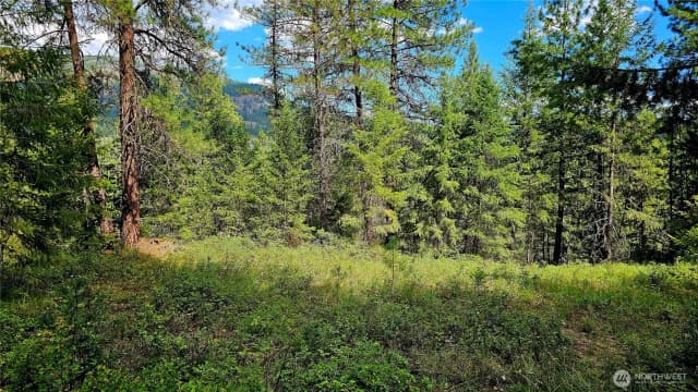 Property photo for 10 Humes Road, Kettle Falls photo 2