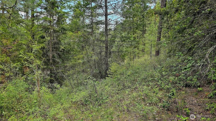 Property photo for 10 Humes Road, Kettle Falls photo 17