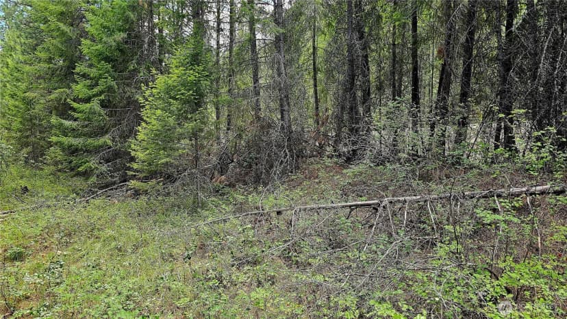 Property photo for 10 Humes Road, Kettle Falls photo 11