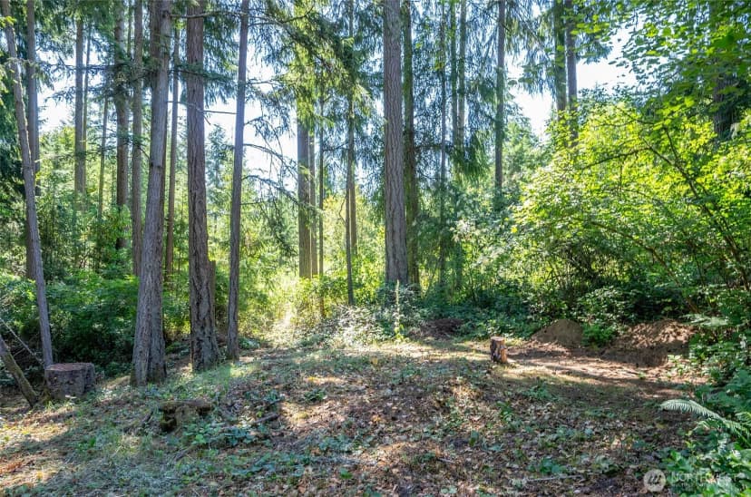 Property photo for 879 9th Ave, Fox Island photo 33