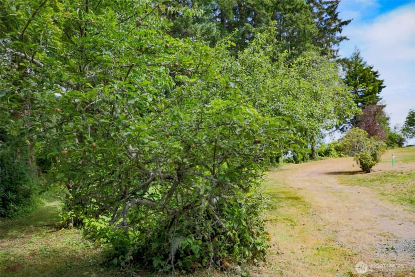 Property photo for 3984 Ne Twin Spits Road, Hansville photo 9