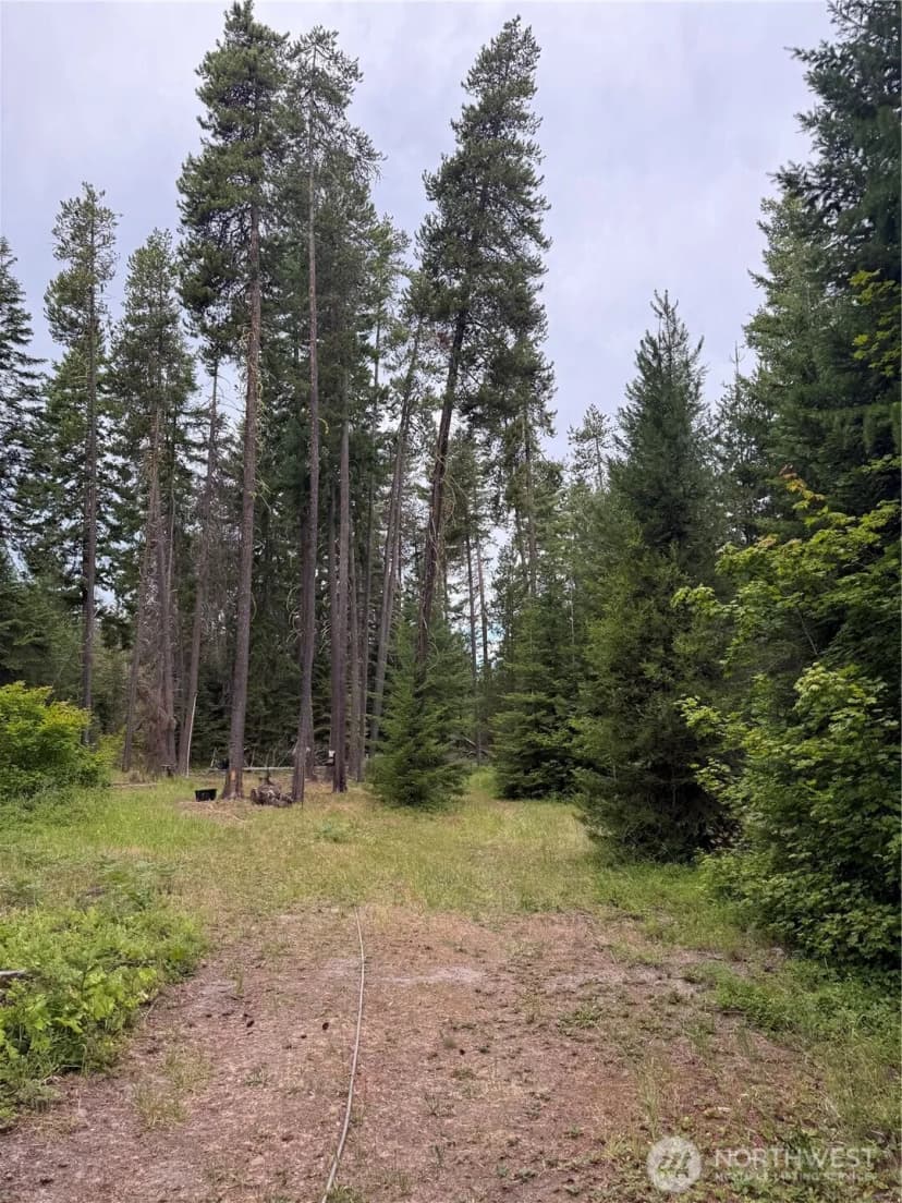 Property photo for 730 Tall Pines Drive #1 Of 2, Cle Elum photo 22