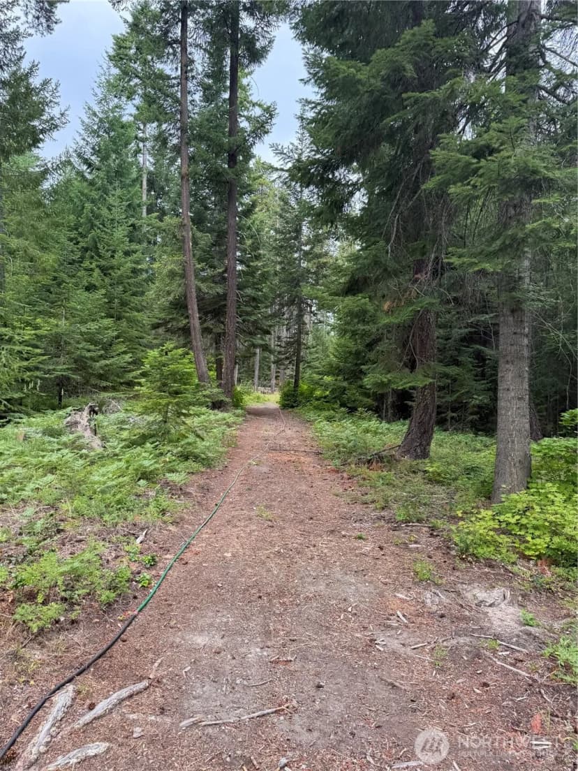 Property photo for 750 Tall Pines Drive #2 Of 2, Cle Elum photo 8