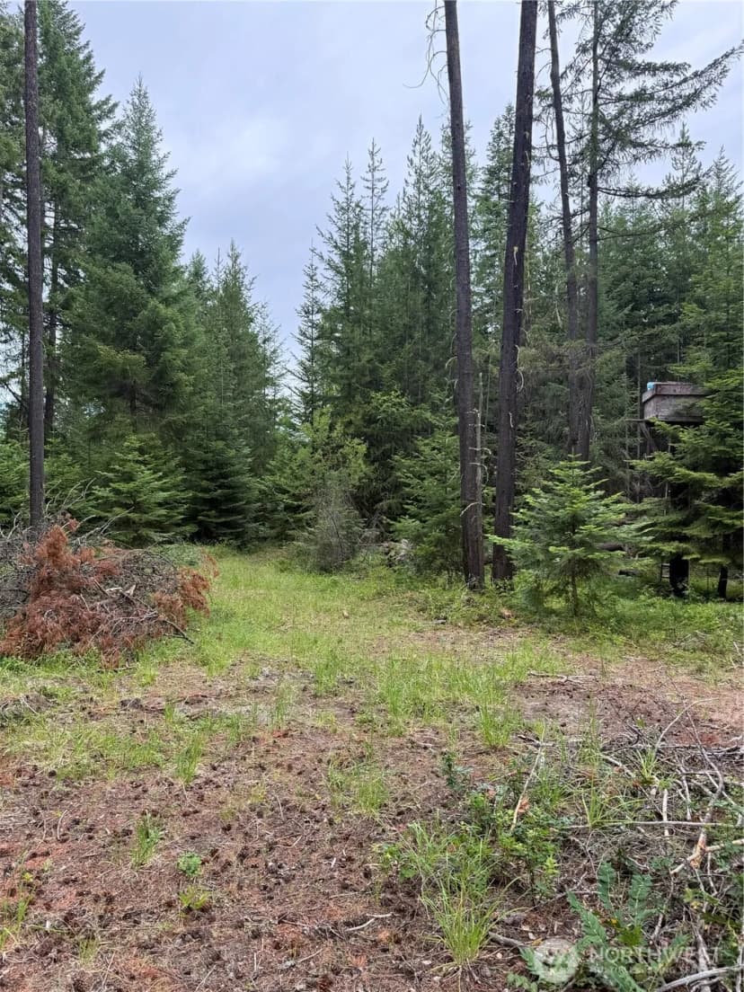 Property photo for 750 Tall Pines Drive #2 Of 2, Cle Elum photo 5