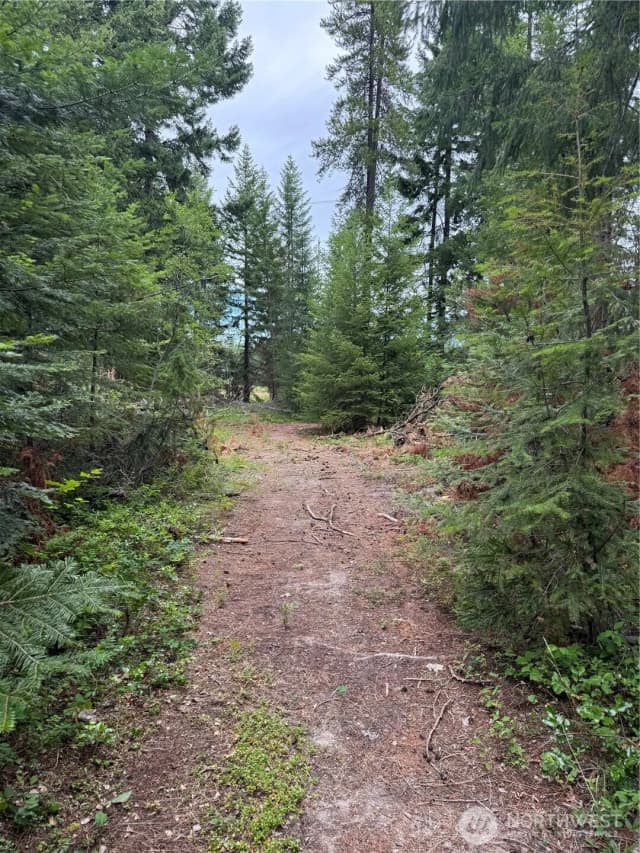 Property photo for 750 Tall Pines Drive #2 Of 2, Cle Elum photo 3