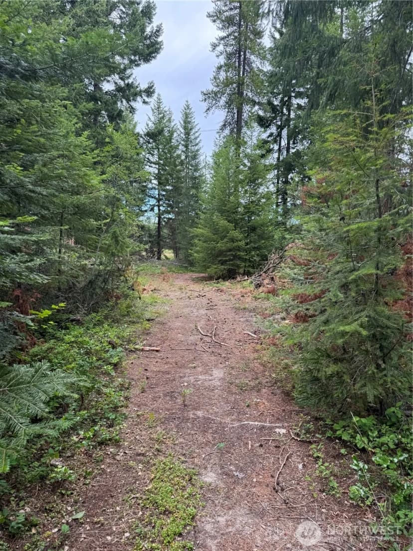 Property photo for 750 Tall Pines Drive #2 Of 2, Cle Elum photo 3