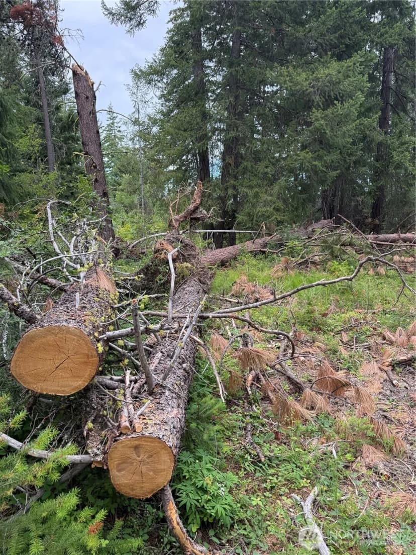 Property photo for 750 Tall Pines Drive #2 Of 2, Cle Elum photo 2