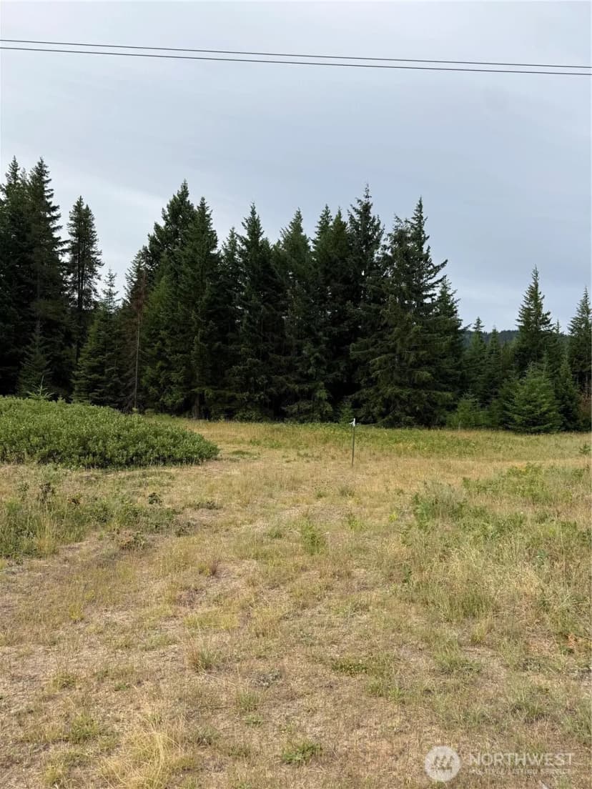 Property photo for 750 Tall Pines Drive #2 Of 2, Cle Elum photo 12
