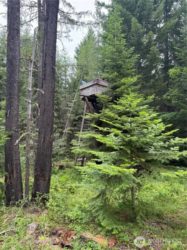 Property photo for 750 Tall Pines Drive #2 Of 2, Cle Elum photo 4