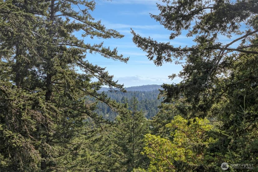 Property photo for 918 Terrace Drive, Friday Harbor photo 19
