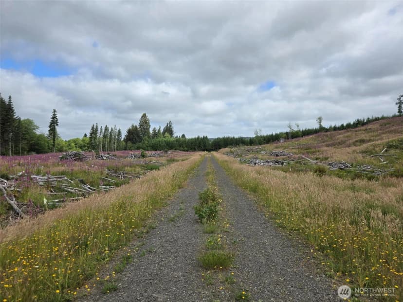 Property photo for 0 Off Of North River Road, Cosmopolis photo 13
