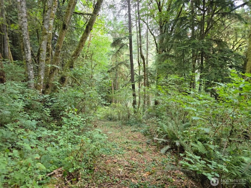 Property photo for 16010 109th Ave Sw, Vashon photo 29