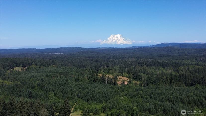 Property photo for 0 Peterson Road Sw, Tenino photo 17