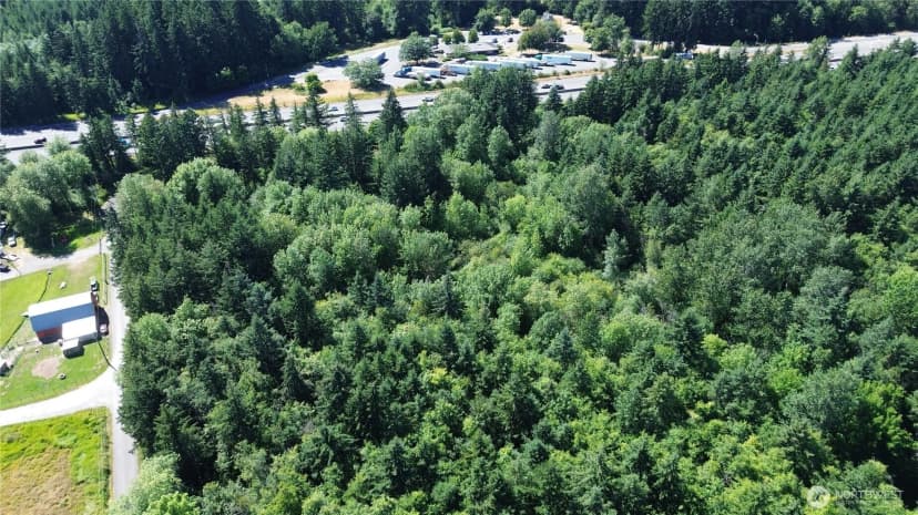 Property photo for 0 Peterson Road Sw, Tenino photo 20