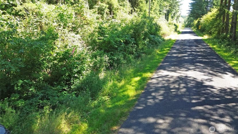 Property photo for 0 Peterson Road Sw, Tenino photo 5