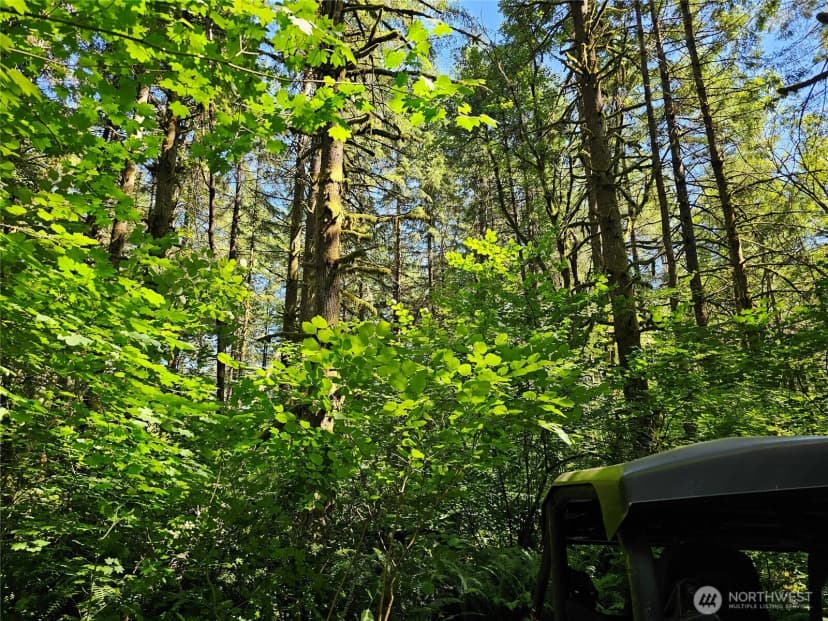 Property photo for 0 Peterson Road Sw, Tenino photo 31