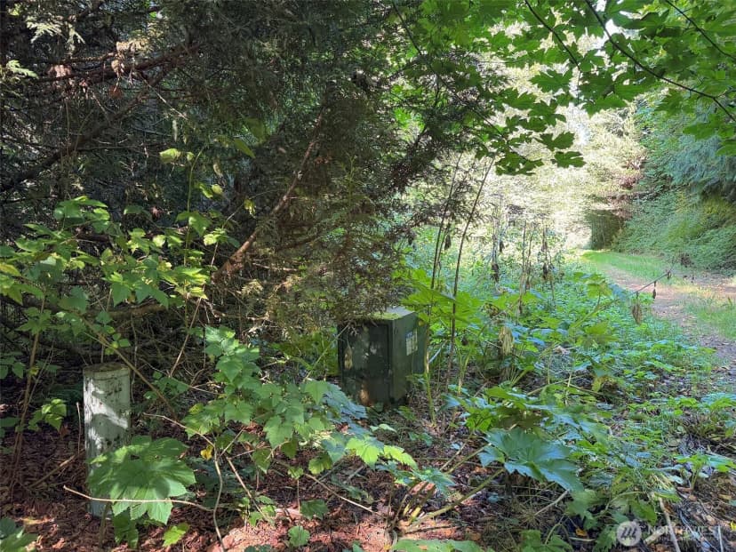Property photo for 888 Farrington Road, Port Angeles photo 19