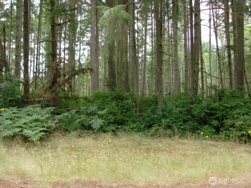 Property photo for 10810 Madrona Drive, Anderson Island