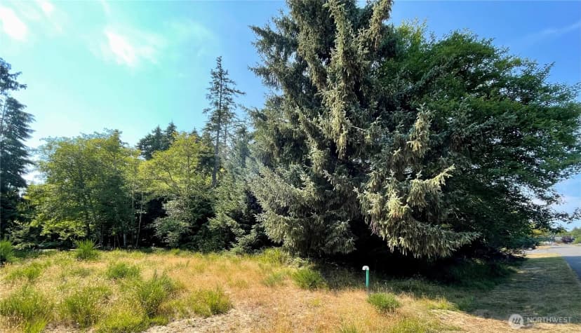 Property photo for 163 Olympic View Avenue Ne, Ocean Shores photo 7