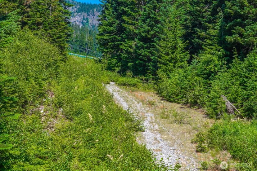 Property photo for 17800 Alpental Access Road #2109, North Bend photo 34