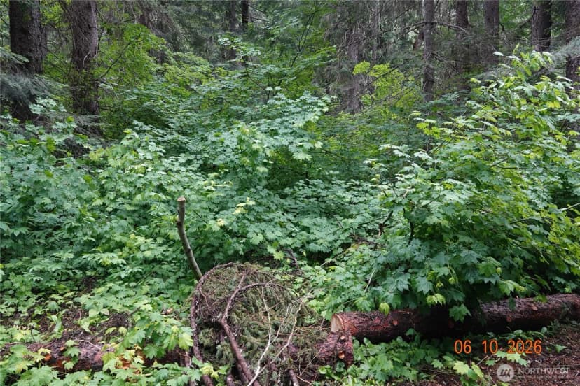 Property photo for 27849 Napeequa Drive, Leavenworth photo 13