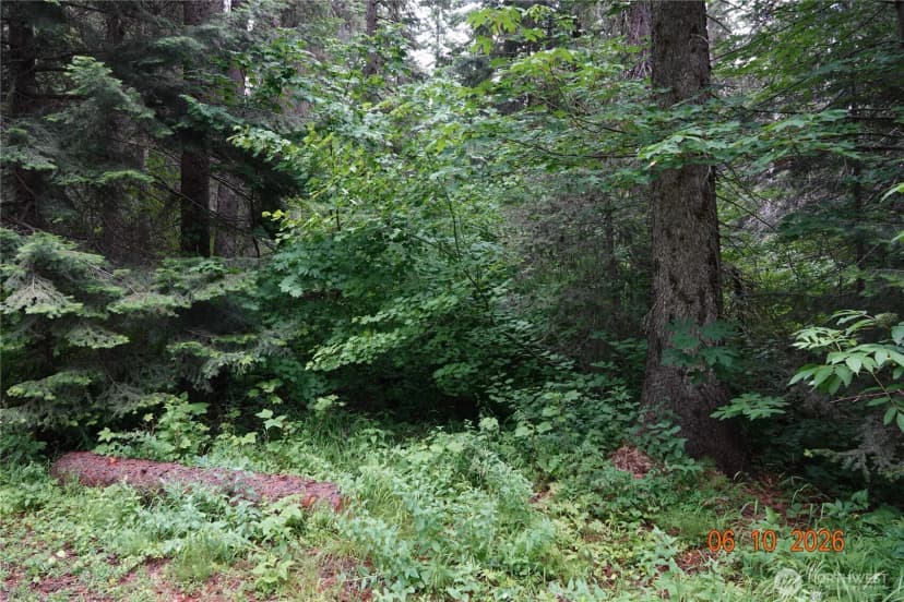 Property photo for 27849 Napeequa Drive, Leavenworth photo 15