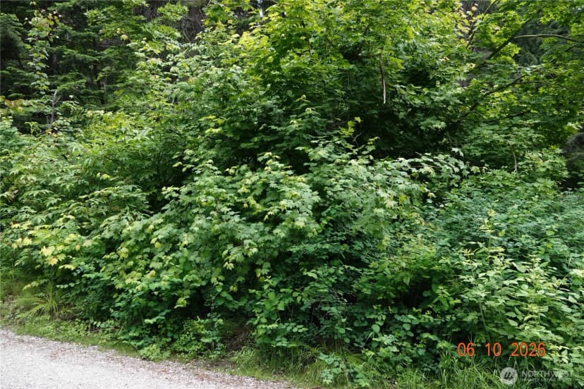Property photo for 27849 Napeequa Drive, Leavenworth photo 16