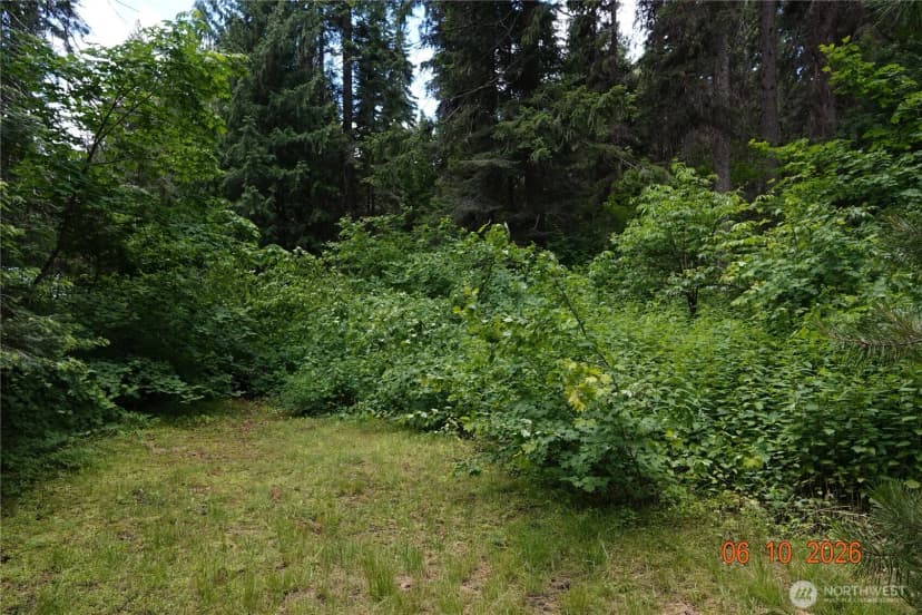 Property photo for 27849 Napeequa Drive, Leavenworth photo 9