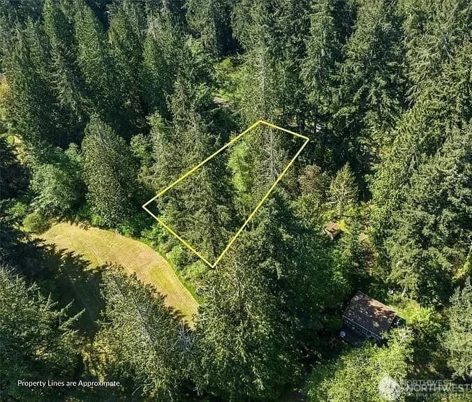 Property photo for 10515 Edgewood Drive, Anderson Island photo 6