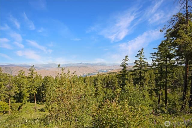 Property photo for 0 Melvin Road, Waterville photo 4