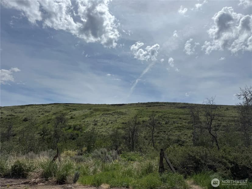 Property photo for 0 Titchenal Canyon Road Sw, Waterville photo 30